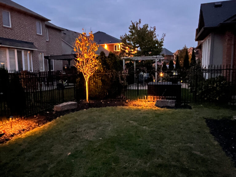 A small suburban backyard at dusk with an uplit tree glowing amber
