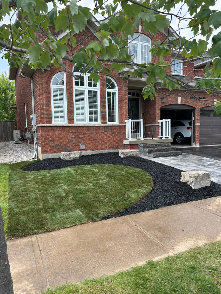 A front lawn with clean bed edging