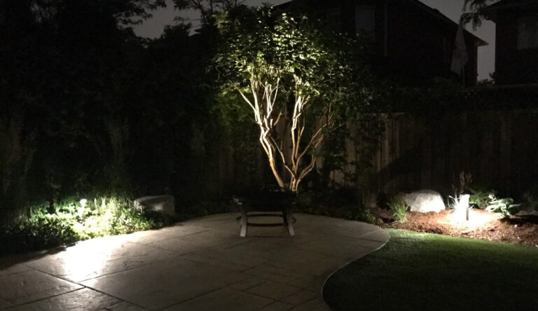 An uplit tree and glowing path lights in a dark backyard