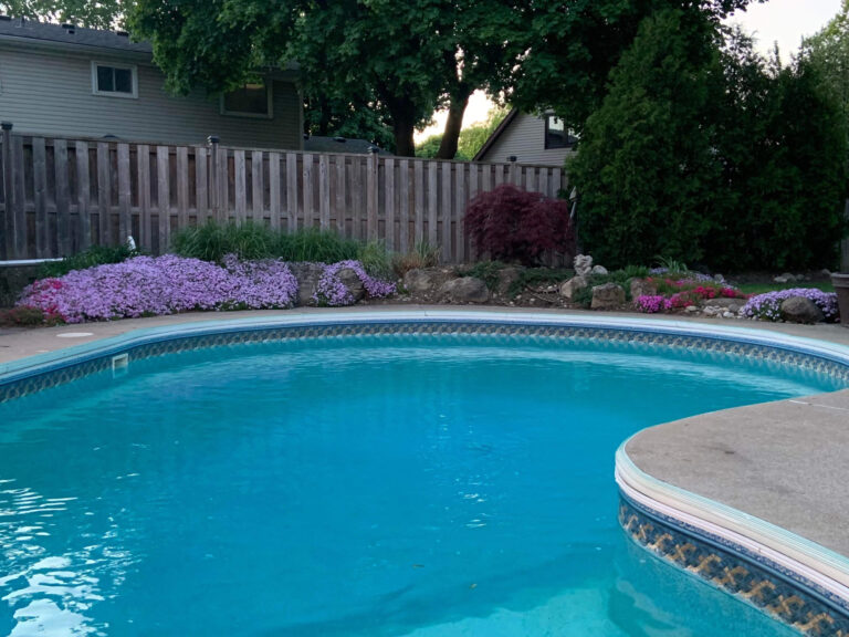 A pool bordered by flowering perennials