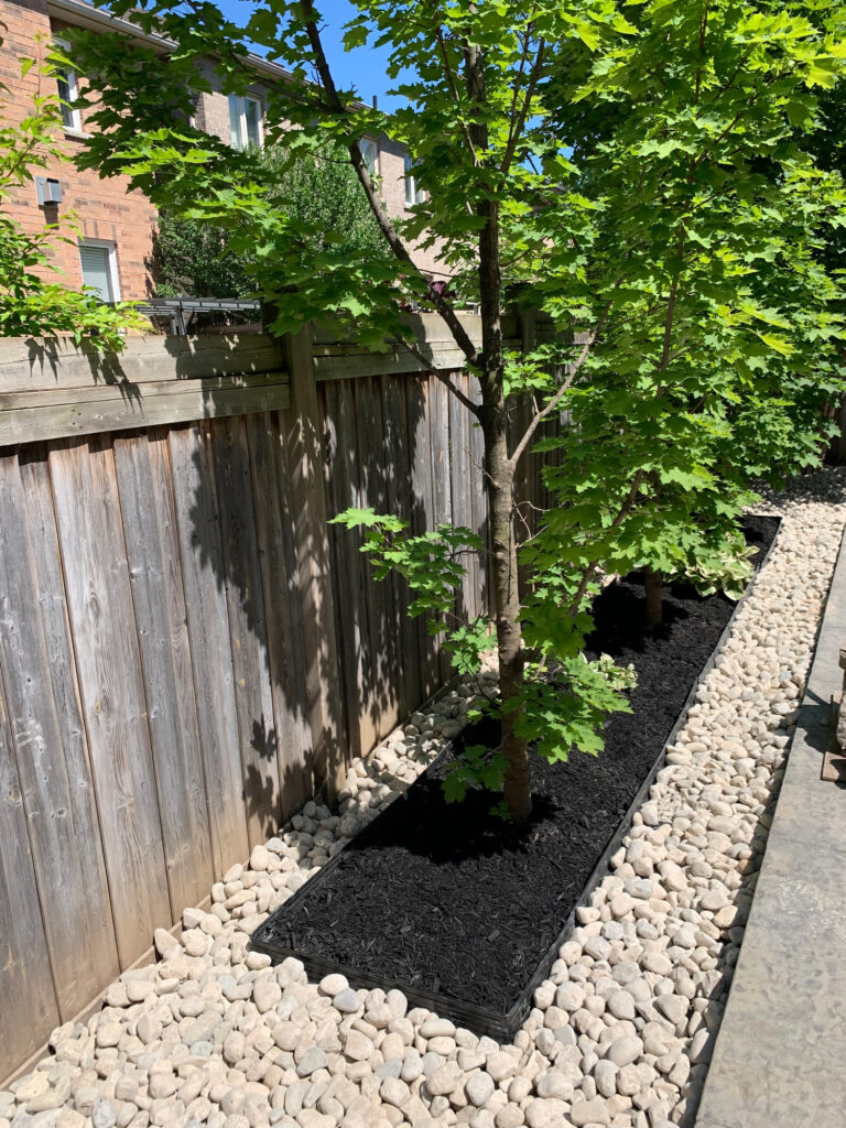 A river rock bed and young tree along a fence
