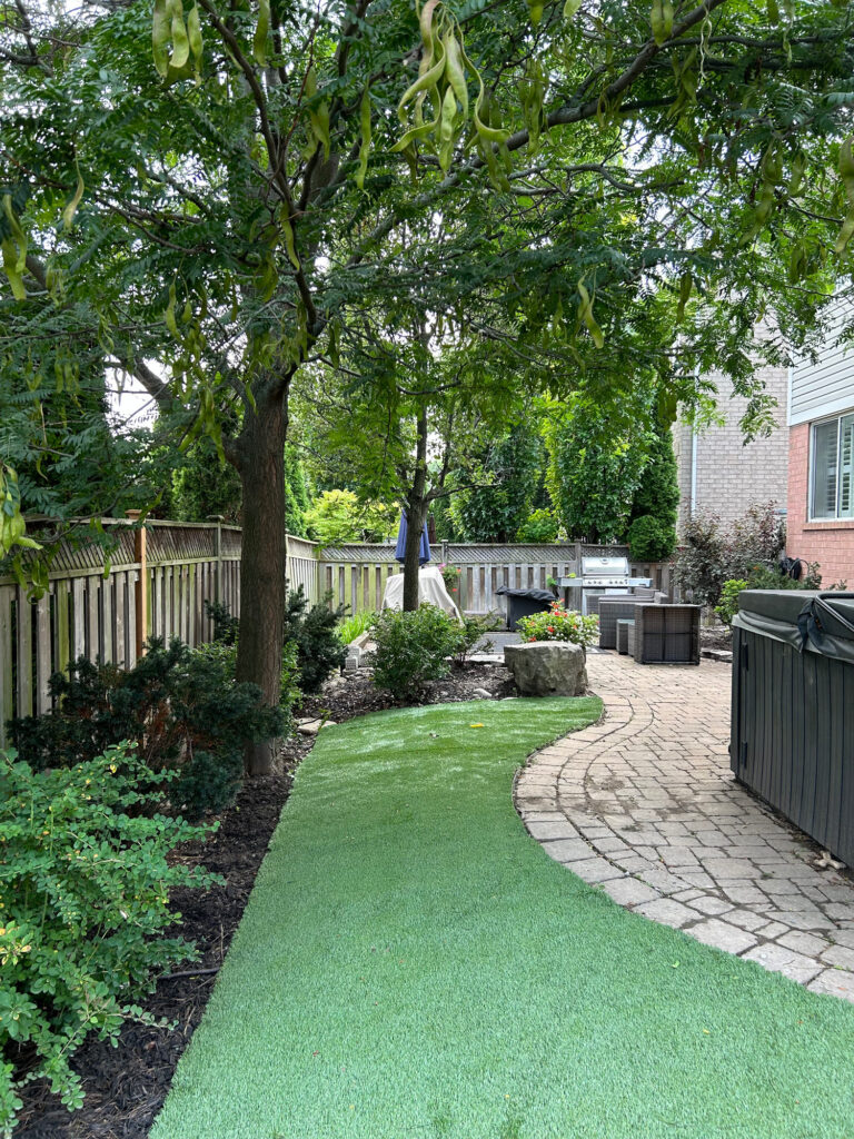 Turf curving along a paver path under a tree